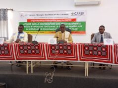 Burkina Faso : Les investissements directs étrangers dans le secteur minier ont un faible impact sur la croissance économique