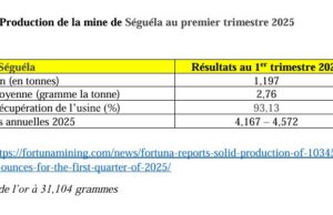 Côte d’Ivoire : Séguéla 1,197 tonnes d’or produit au premier trimestre 2025