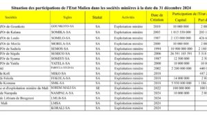 Mali : L’Etat malien actionnaire dans 17 sociétés minières en 2024