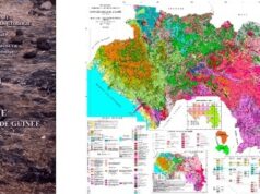 Guinée : Les permis de recherches retirés deviennent des réserves stratégiques