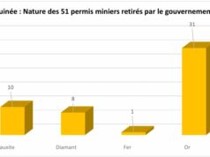 Guinée : Liste des 51 permis miniers retirés par le gouvernement