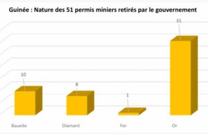Guinée : Liste des 51 permis miniers retirés par le gouvernement