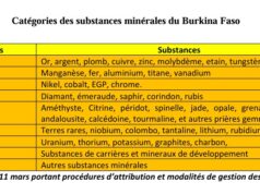 Le Burkina Faso dispose de minéraux stratégiques et des terres rares