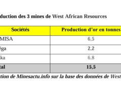 West African Resources : Le futur géant minier du Burkina Faso