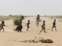 Changement climatique et instabilité politique en Afrique de l’Ouest : comprendre les liens entre environnement, médias et gouvernance locale