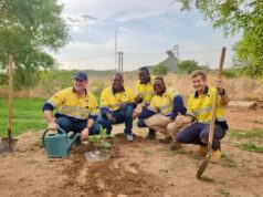 Journée nationale de l’arbre 2025 : SOMISA a produit 20 095 arbres en 2025