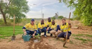 Journée nationale de l’arbre 2025 : SOMISA a produit 20 095 arbres en 2025