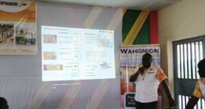 Mine de Wahgnion Gold Operations : Entre 40 à 45 % des employés sont issus des communautés locales