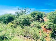 Endeavour mining : Principales réalisations en faveur de l’environnement en 2024