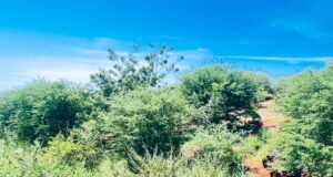 Endeavour mining : Principales réalisations en faveur de l’environnement en 2024