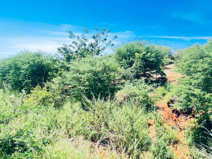 Endeavour mining : Principales réalisations en faveur de l’environnement en 2024