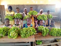 Education environnementale : La mine d’IAMGOLD Essakane SA soutient l’implantation de jardins scolaires