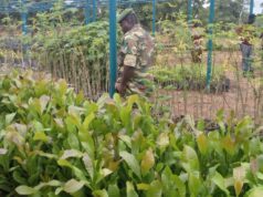 Sanbrado et Kiaka : Les stratégies de gestion de l’eau, de la biodiversité et le programme de réhabilitation progressive en marche