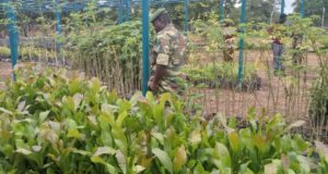 Sanbrado et Kiaka : Les stratégies de gestion de l’eau, de la biodiversité et le programme de réhabilitation progressive en marche