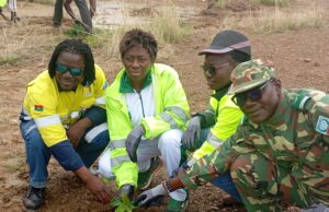 Burkina Faso : SOMISA SA a lancé sa campagne de reboisement 2025