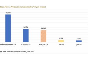 Burkina Faso : La baisse de la production industrielle d’or compensée par la hausse du cours de l’or