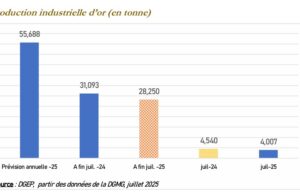 Cours de l’or : Léger repris en juillet 2025