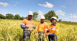 Réhabilitation des sites miniers : Wahgnion Gold a converti 02 fosses minières en exploitation agricole