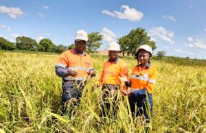 Réhabilitation des sites miniers : Wahgnion Gold a converti 02 fosses minières en exploitation agricole