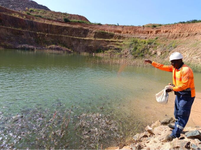 Réhabilitation des sites miniers : Wahgnion Gold a converti 02 fosses minières en fin d’exploitation en bassins de pisciculture