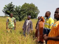 Campagne agricole : SOMISA SA visite des champs de ses communautés impactées qu’elle accompagne