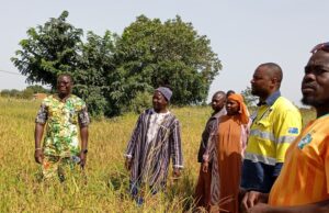 Campagne agricole : SOMISA SA visite des champs de ses communautés impactées qu’elle accompagne
