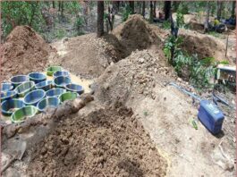 Mali : l’orpaillage et le changement climatique déciment la forêt de Lougouani