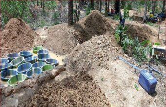 Mali : l’orpaillage et le changement climatique déciment la forêt de Lougouani