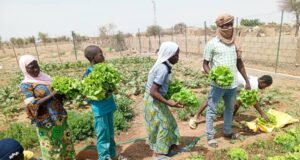 Développement durable : Les 4 meilleures pratiques dans le secteur minier du Burkina Faso en 2025