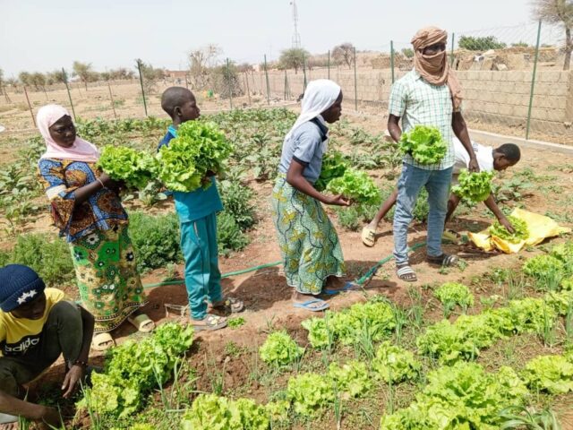 Développement durable : Les 4 meilleures pratiques dans le secteur minier du Burkina Faso en 2025