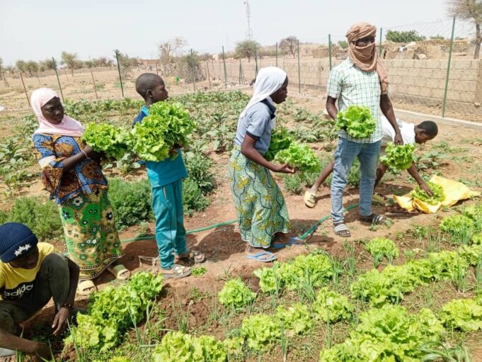 Développement durable : Les 4 meilleures pratiques dans le secteur minier du Burkina Faso en 2025
