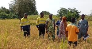 Bilan 2025 : SOMISA a mis en œuvre un programme agricole au profit des populations impactées