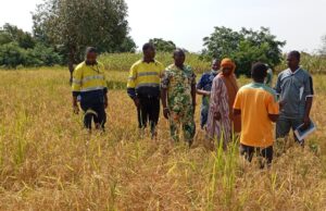 Bilan 2025 : SOMISA a mis en œuvre un programme agricole au profit des populations impactées