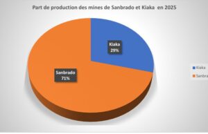 Burkina Faso : La mine de SOMISA a produit 6,4 tonnes d’or en 2025