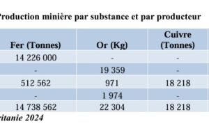 Mauritanie : Une production d’or de 22,304 tonnes en 2024