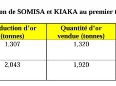 West African Resources : Une production de 3,351 tonnes d’or au premier trimestre 2026 au Burkina