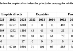 Mauritanie : une réduction des expatriés dans les emplois du secteur extractif